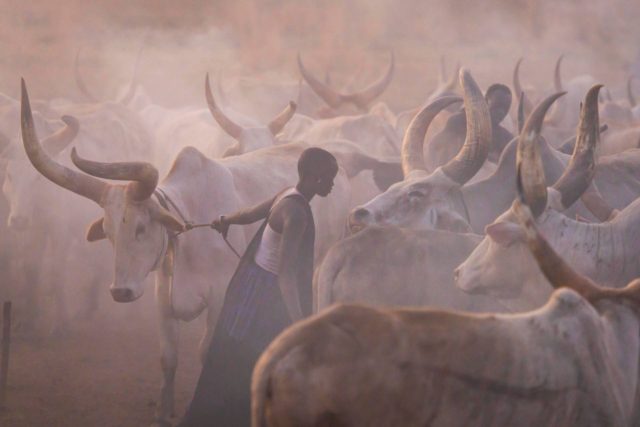 The Mundari Tribe Of South Sudan AdvertAfrica News on afronewswire.com: Amplifying Africa's Voice | afronewswire.com | Breaking News & Stories