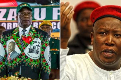 Zanu PF is a ‘criminal syndicate’ kept in power by military - Julius Malema. AdvertAfrica News on afronewswire.com: Amplifying Africa's Voice | afronewswire.com | Breaking News & Stories