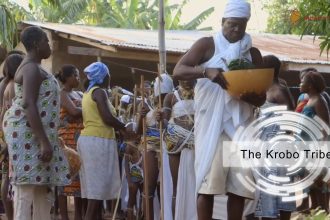 The Krobo Heritage, Origin and Tradition AdvertAfrica News on afronewswire.com: Amplifying Africa's Voice | afronewswire.com | Breaking News & Stories
