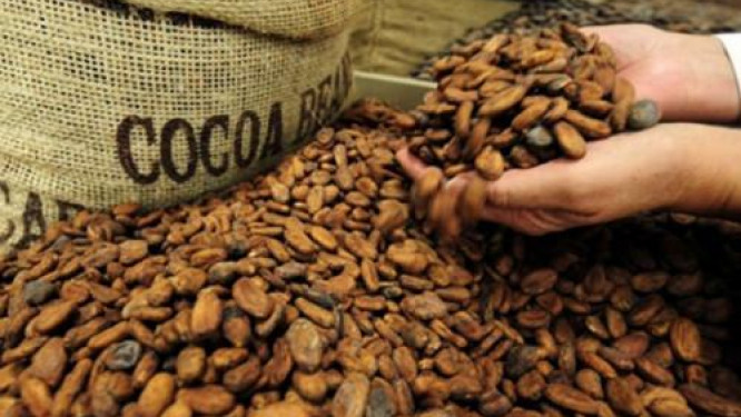 Cameroon: Export revenues fell by 16.8% in H1 2018, crippled by cocoa-coffee sector Afro News Wire