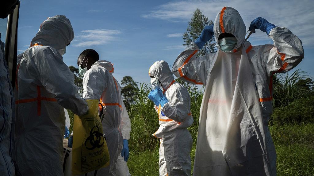 Ivory Coast Ebola case was 'false positive', WHO says Afro News Wire