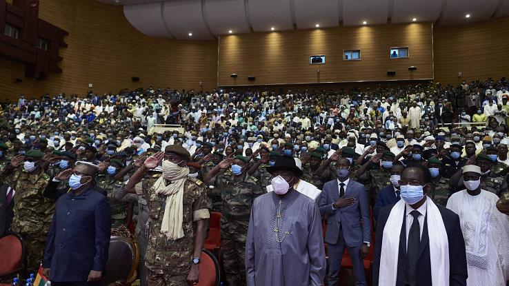 ECOWAS imposes individual sanctions on coup plotters in Guinea, Mali Afro News Wire