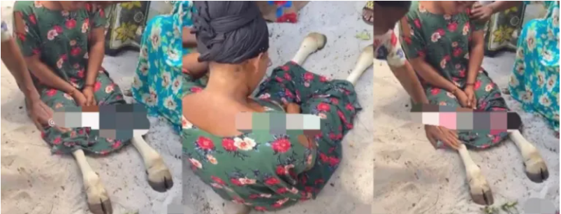 Woman allegedly turns into a cow after sleeping with married man Afro News Wire