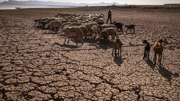 Morocco: A severe headache caused by drought and inflation Afro News Wire