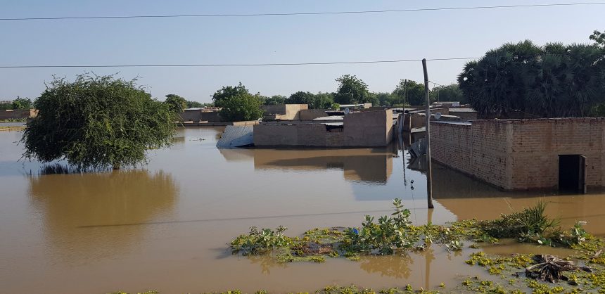 With over 1 million people affected by floods, Chad declares a state of emergency. Afro News Wire