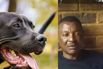 Zambia's ex-footballer, Philemon Mulala, was killed by his three dogs. Afro News Wire