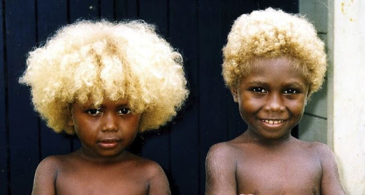 Meet the only naturally black blondes in the world. Afro News Wire