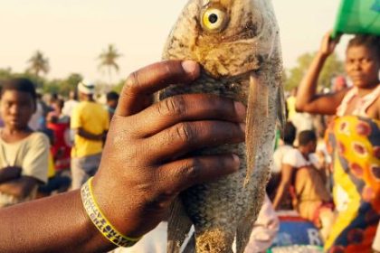 "Sex for fish" practice in Malawi Afro News Wire