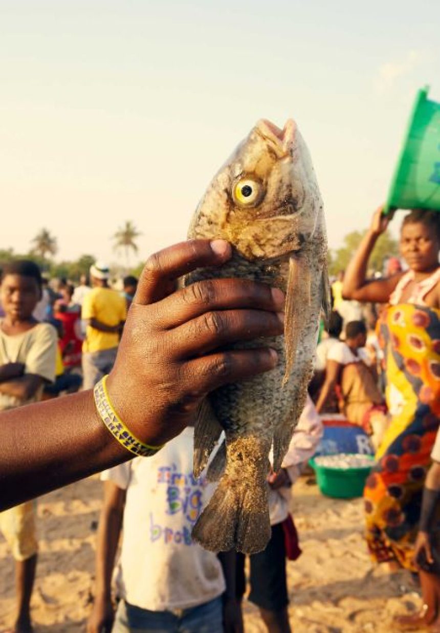 "Sex for fish" practice in Malawi Afro News Wire