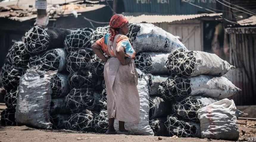 Ban on charcoal production upsets a profitable but destructive industry in Uganda. Afro News Wire