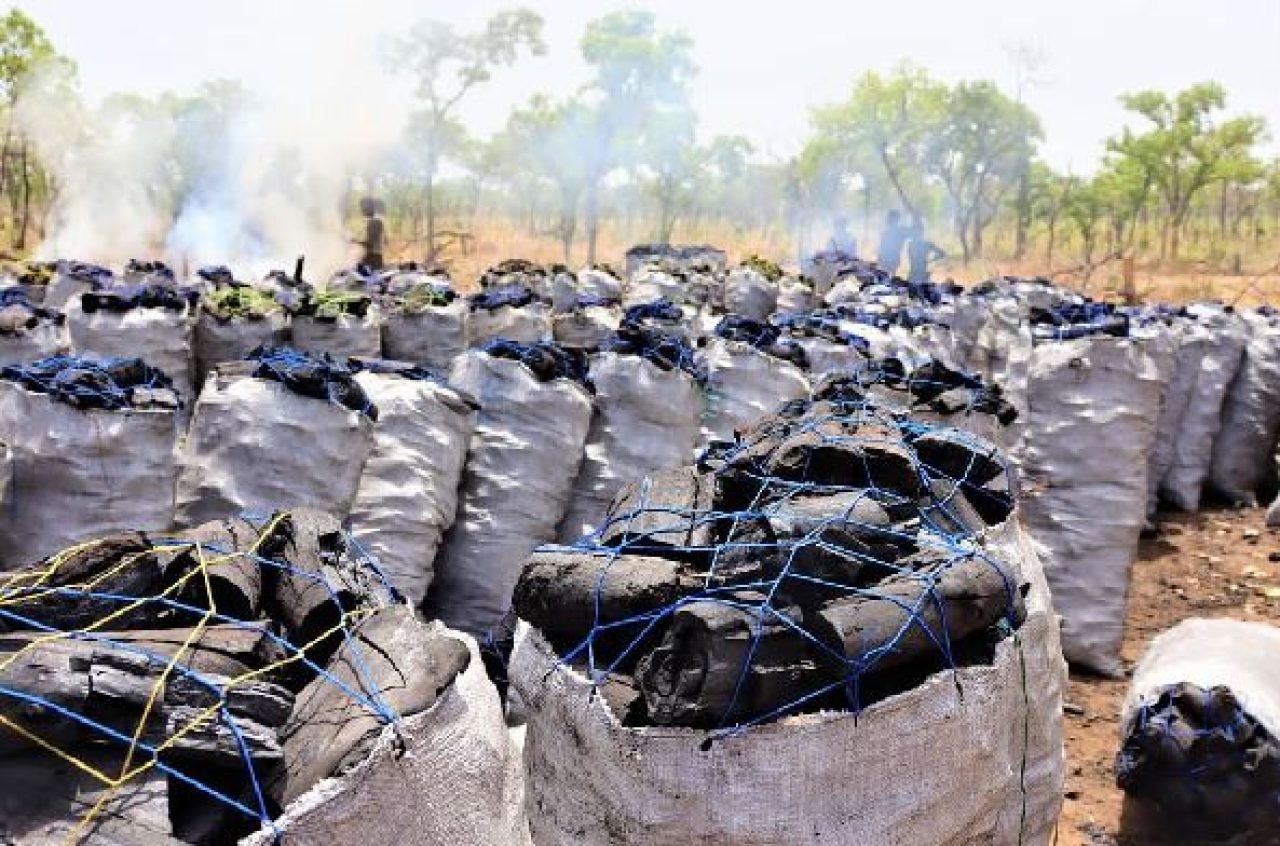 Ban on charcoal production upsets a profitable but destructive industry in Uganda. Afro News Wire