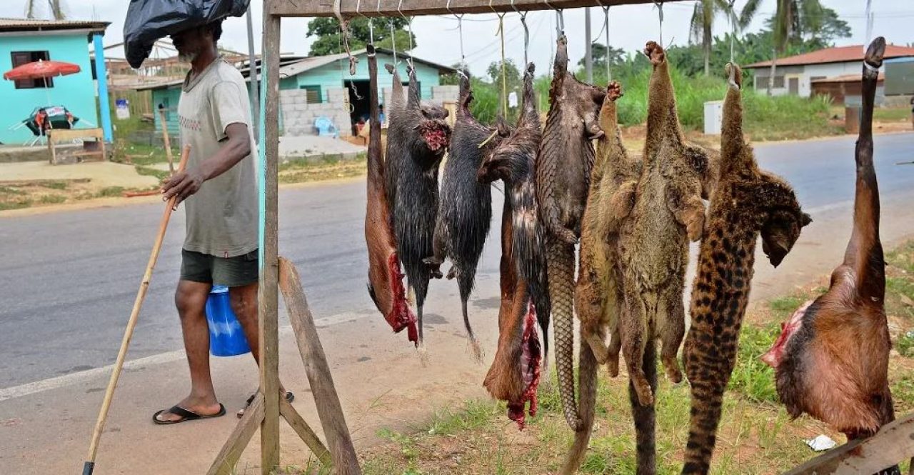 Sierra Leone Imposes Ban on Meat Imports from Liberia. Afro News Wire