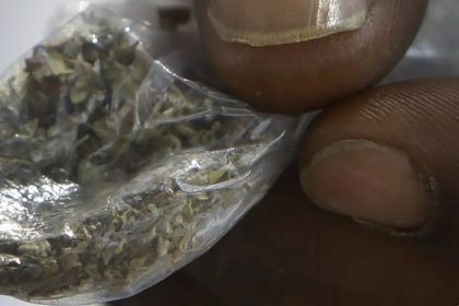 Sierra Leone's Youth Trapped by Deadly Addiction to 'Kush'. Afro News Wire