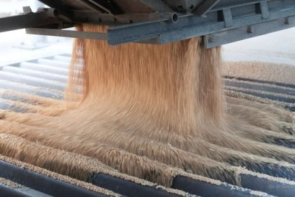 African Leaders Call For Release of Russian Grain Supplies Afro News Wire