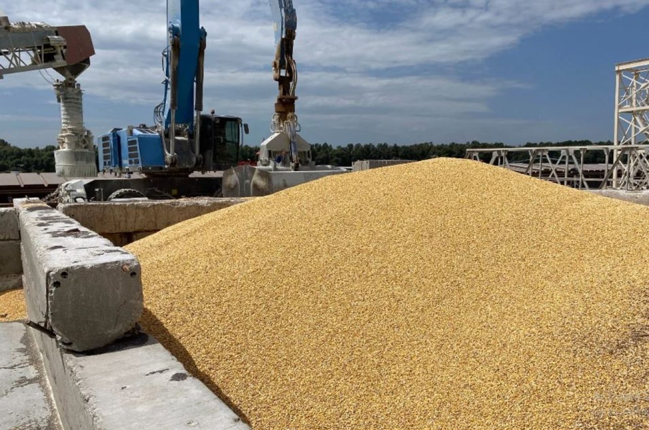 African Leaders Call For Release of Russian Grain Supplies Afro News Wire