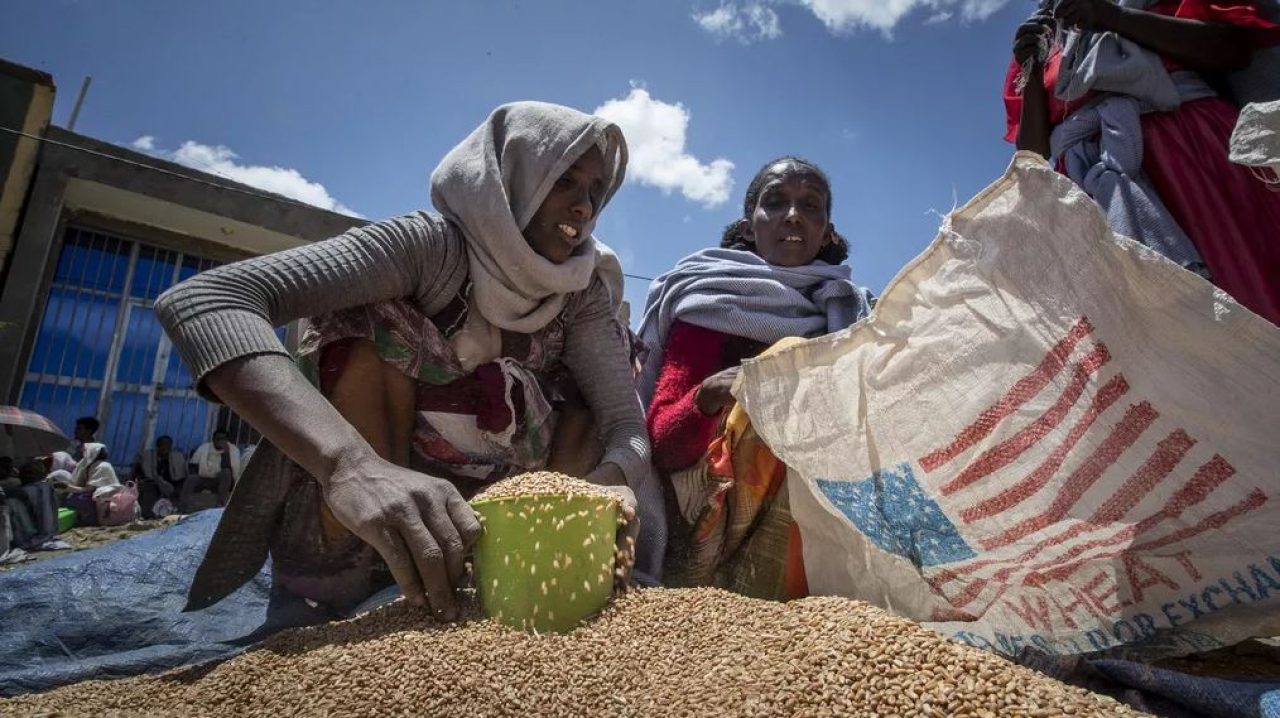 Testing the Waters: WFP Explores Resuming Food Aid in Tigray, Ethiopia. Afro News Wire