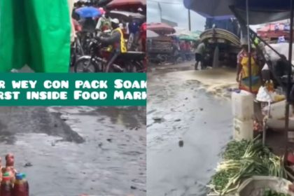 Sewage tanker spills content in food market in Cameroon (video) Afro News Wire