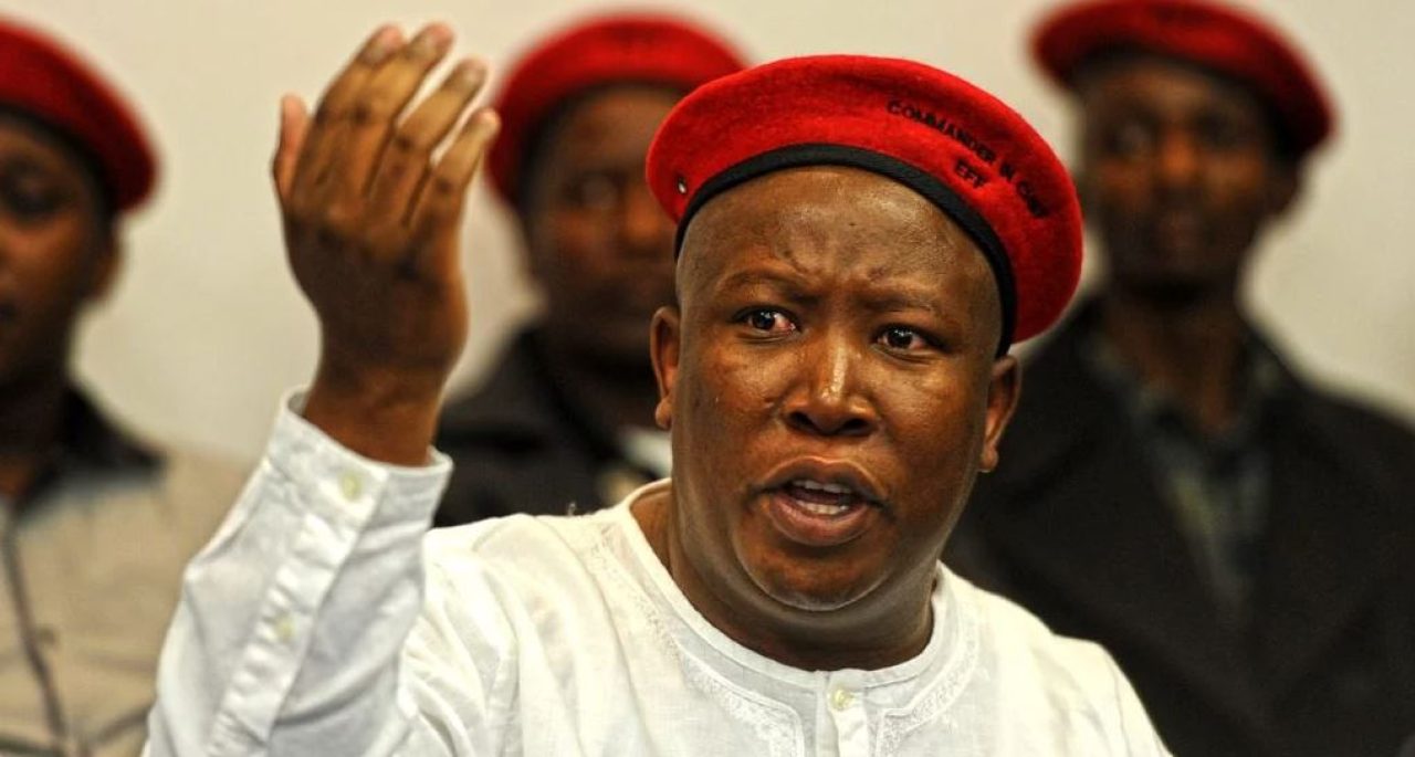 Zanu PF is a ‘criminal syndicate’ kept in power by military - Julius Malema. Afro News Wire