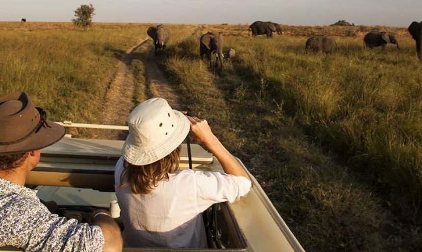 Uk warns its citizen to stay away from Ugandan national park after murder of tourists  Afro News Wire