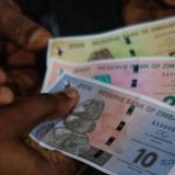 Zimbabwe Urges Acceptance of New, Yet 'Scarce' Currency Afro News Wire