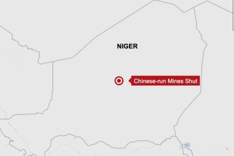 Chinese-Owned Gold Mines in Niger Closed After Reports of Livestock Deaths Afro News Wire