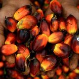 Ghana’s Oil Palm Company Sold Entirely to Nigeria in US$124.9 Million Deal Afro News Wire