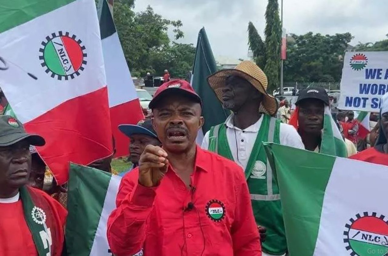 ASUU, TCN, and Banks Join NLC in Indefinite Nationwide Strike Afro News Wire